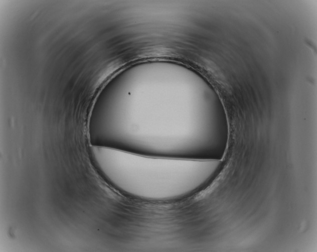 X0000097831073200803140823