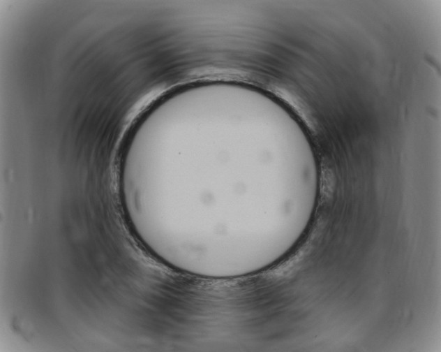 X0000097831074200803140823
