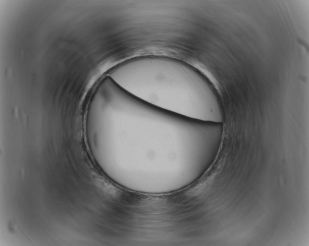 X0000097831075200803140823