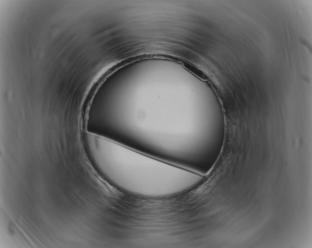 X0000097831076200803140823