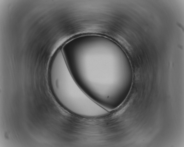 X0000097831077200803140823