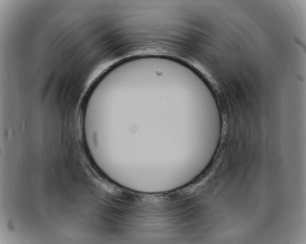 X0000097831078200803140823