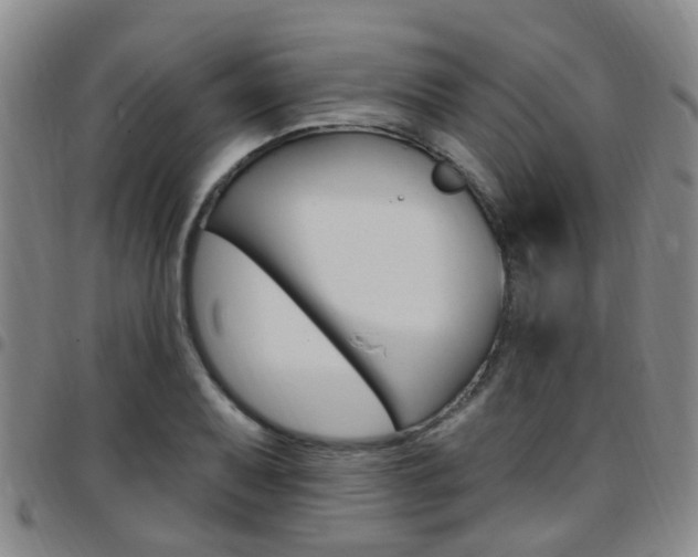 X0000097831079200803140823