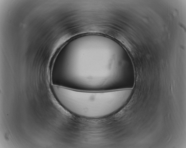X0000097831080200803140823