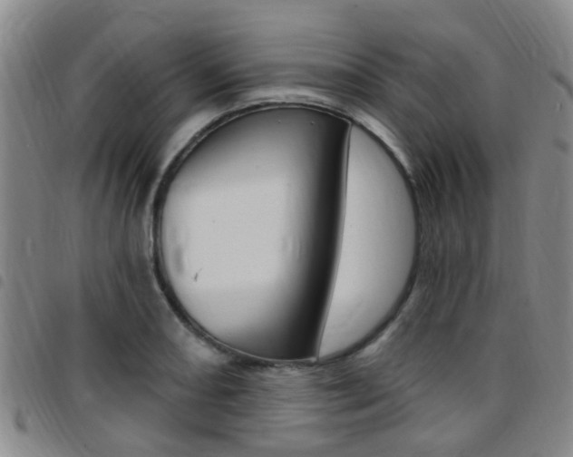 X0000097831082200803140823