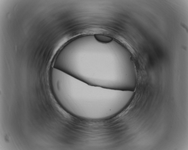 X0000097831083200803140823