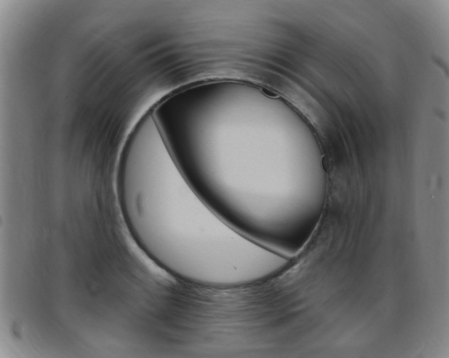 X0000097831084200803140823