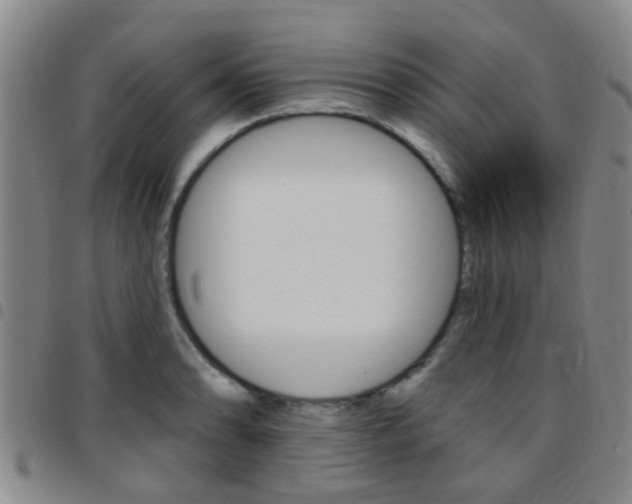 X0000097831086200803140823