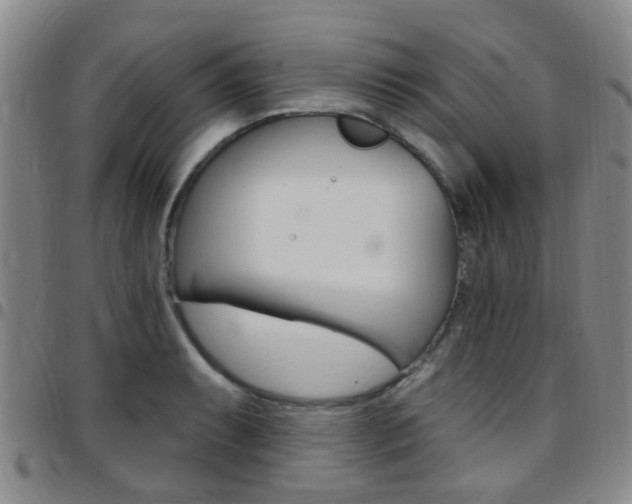 X0000097831087200803140823