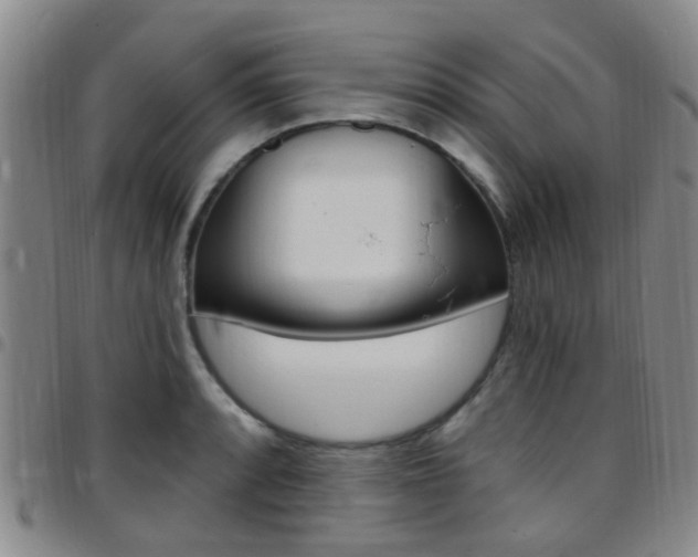 X0000097831088200803140823