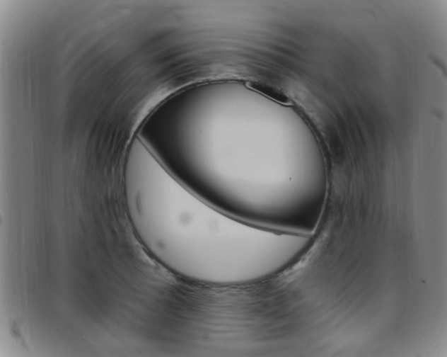 X0000097831089200803140823