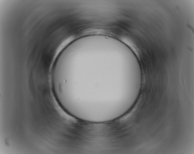 X0000097831090200803140823