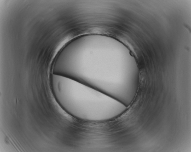 X0000097831091200803140823