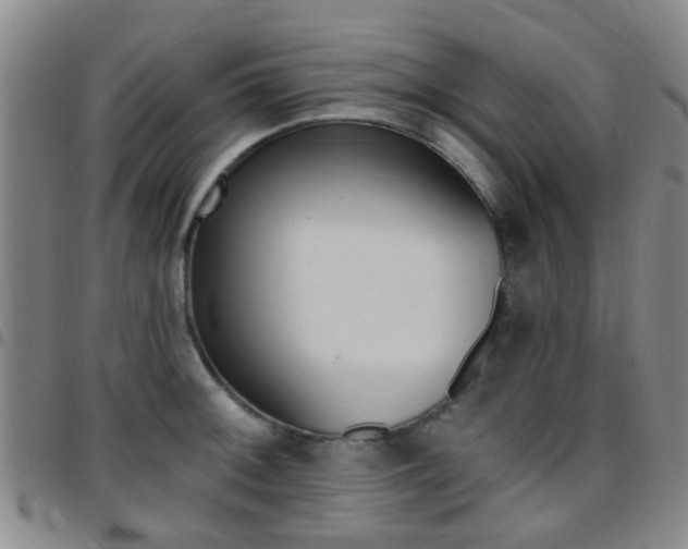 X0000097831092200803140823