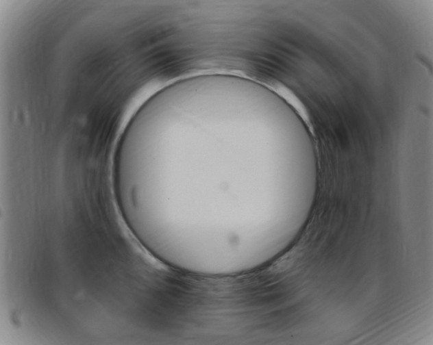 X0000097831096200803140822