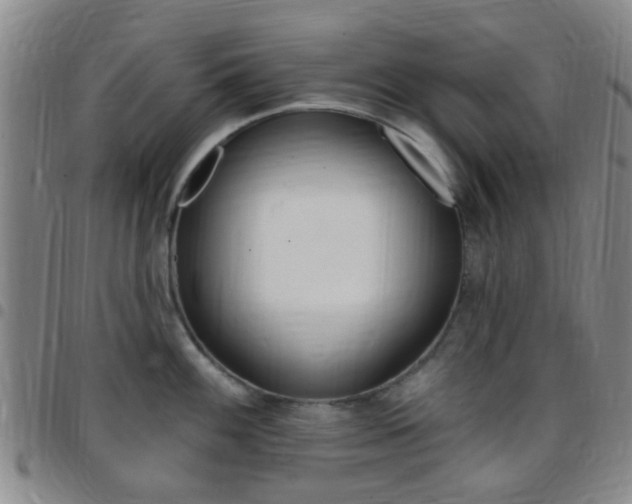 X0000097831100200803140822