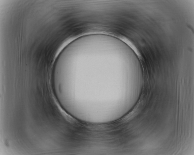 X0000097831101200803140822