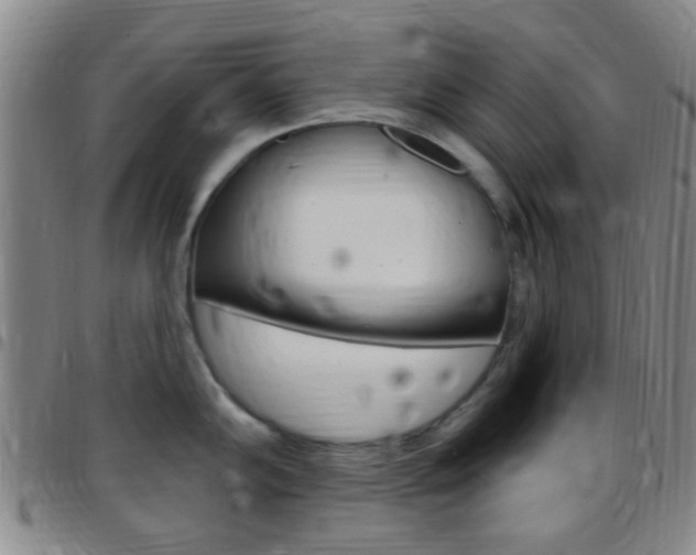 X0000097831102200803140822