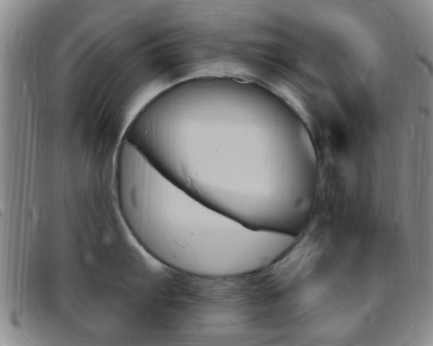 X0000097831103200803140822