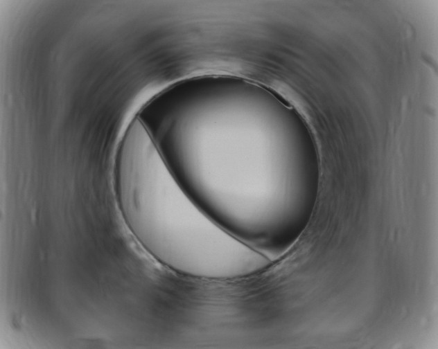 X0000097831104200803140822