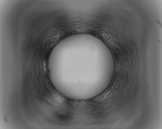 X0000097831106200803140822