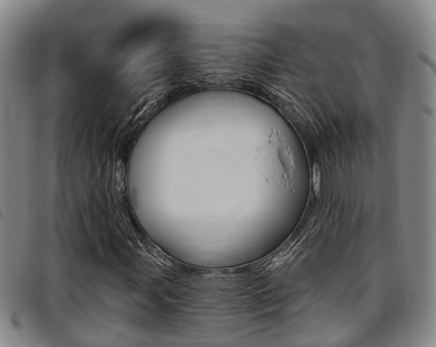 X0000097831107200803140822
