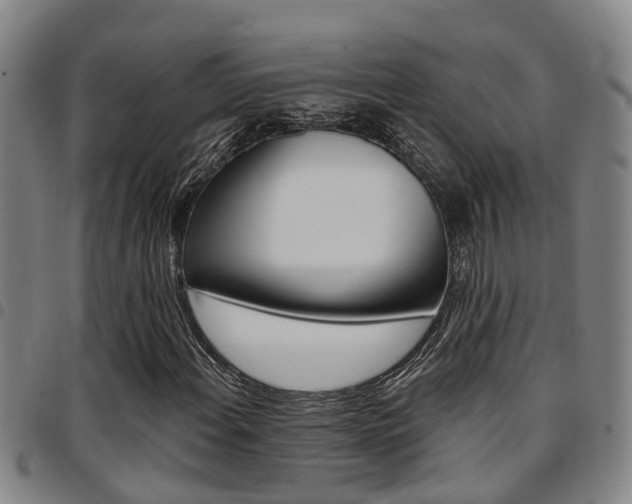 X0000097831108200803140822