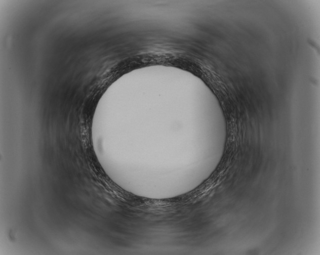X0000097831109200803140822