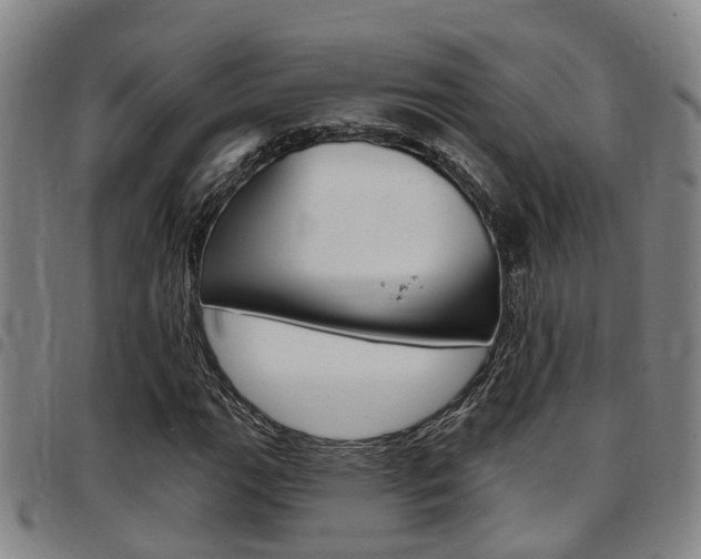 X0000097831111200803140822