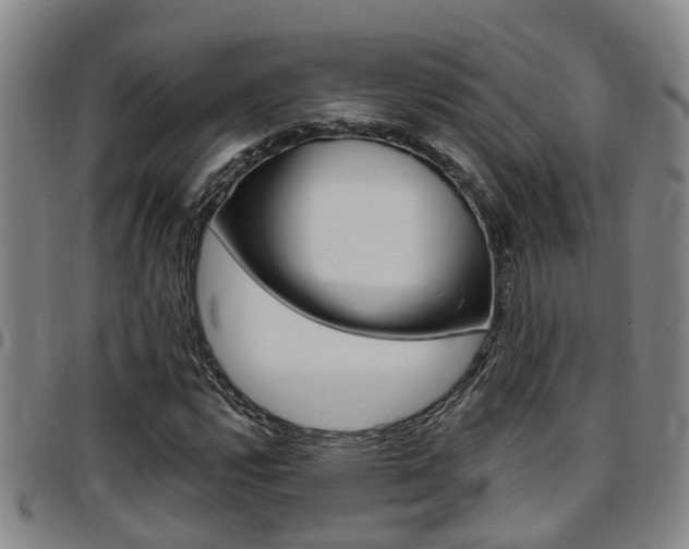 X0000097831112200803140822