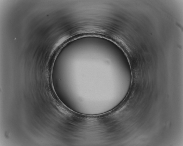 X0000097831114200803140822