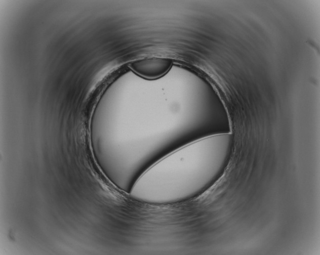 X0000097831115200803140822