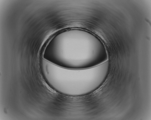 X0000097831116200803140822