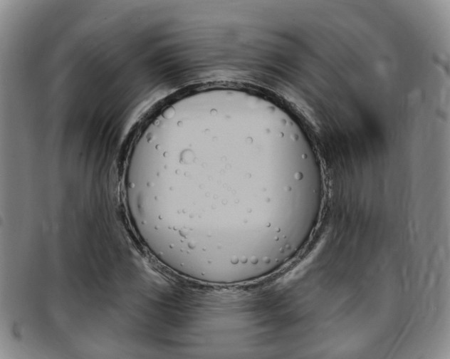 X0000097831117200803140822