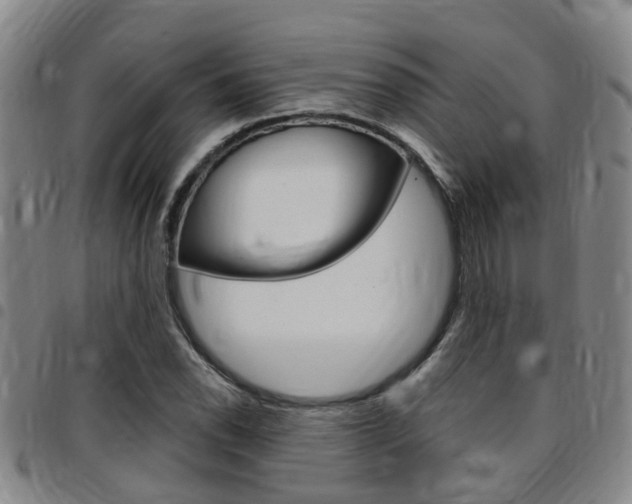 X0000097831118200803140822