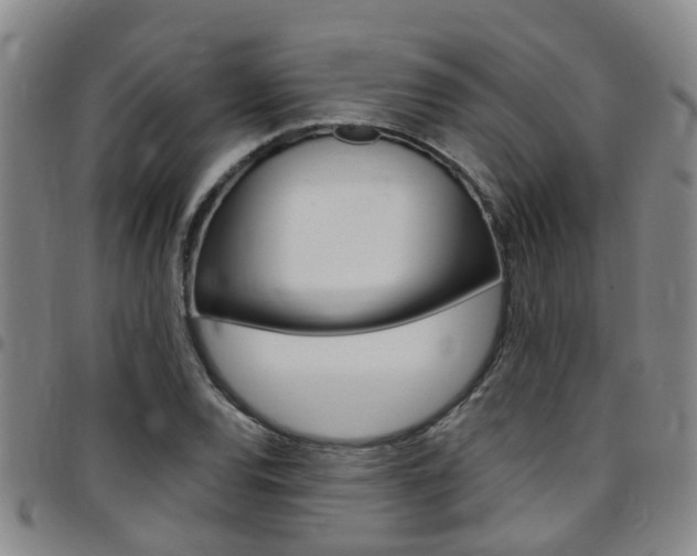 X0000097831120200803140822