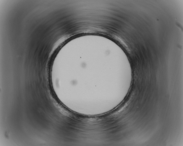 X0000097831122200803140822