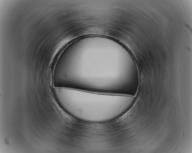 X0000097831123200803140822