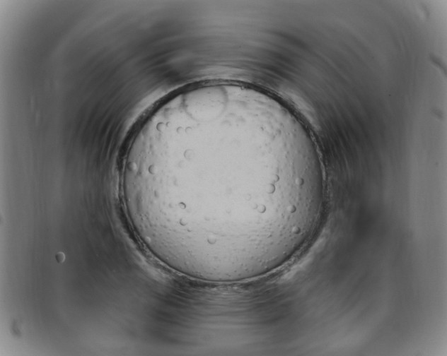 X0000097831125200803140822