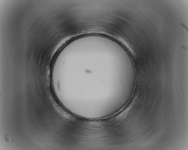 X0000097831126200803140822
