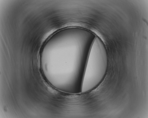 X0000097831127200803140822
