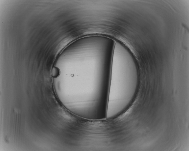 X0000097831129200803140822
