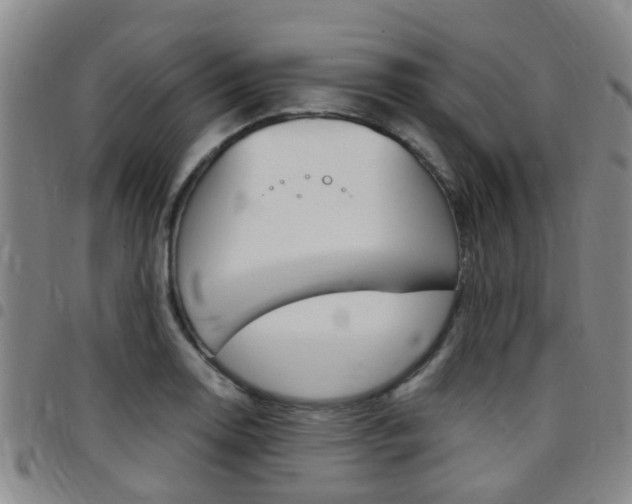 X0000097831130200803140822