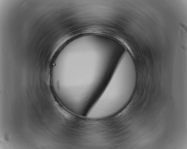 X0000097831131200803140822