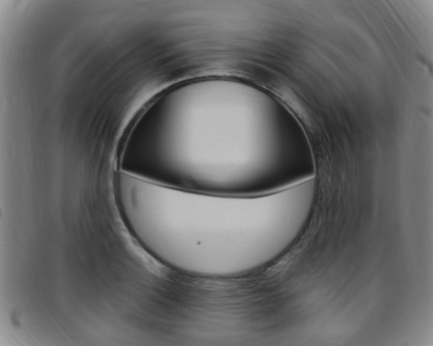 X0000097831132200803140822