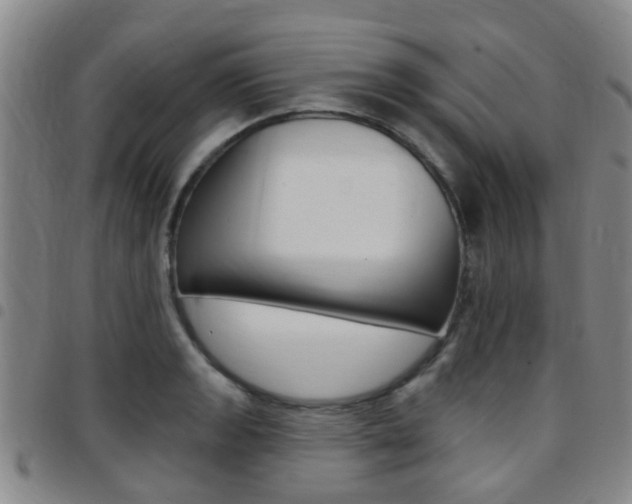 X0000097831133200803140822