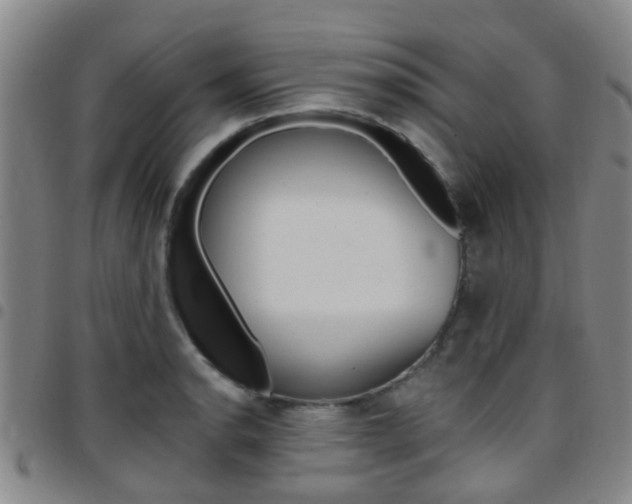 X0000097831134200803140822
