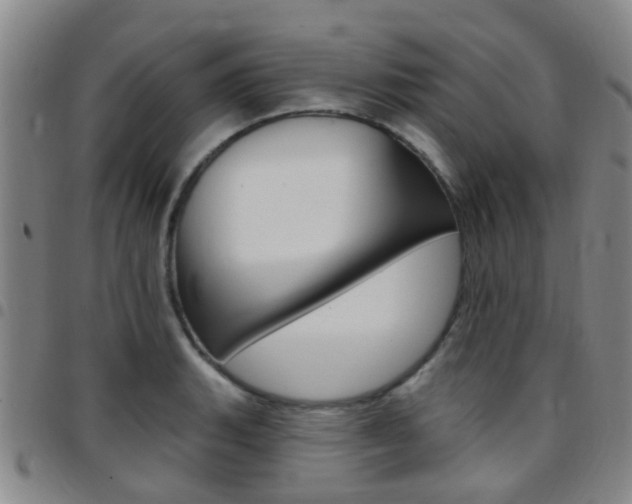 X0000097831135200803140822