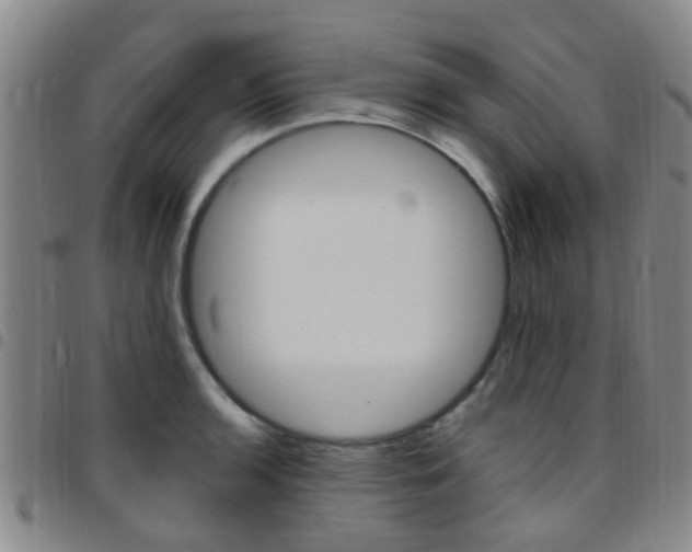 X0000097831136200803140822