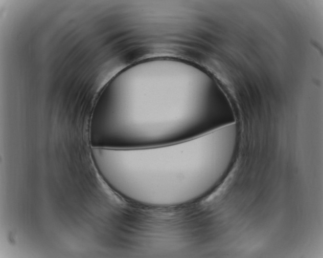 X0000097831137200803140822